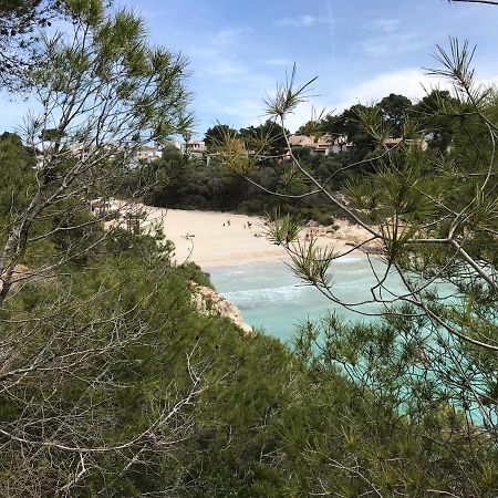 Ses Gavines-Cala Anguila Apartments Porto Cristo Εξωτερικό φωτογραφία
